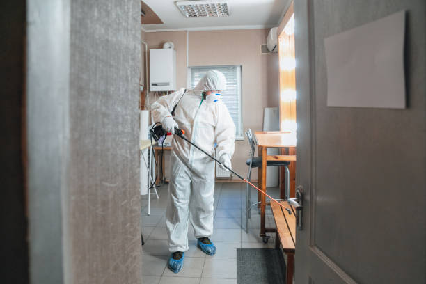 Environmental Consulting for Mold Prevention in Willimantic, CT