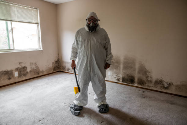 Best Airborne Mold Testing  in Willimantic, CT